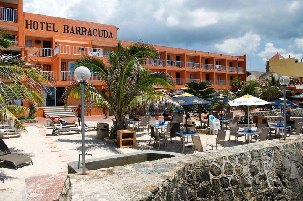 Barracuda