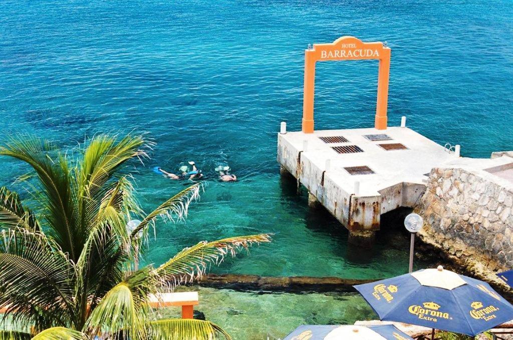 Barracuda Hotel 3*