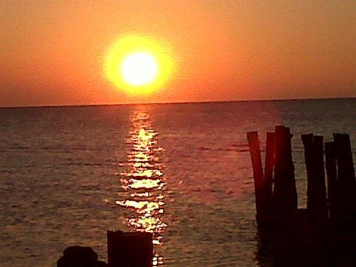 Golden Paradise Hotel 3*