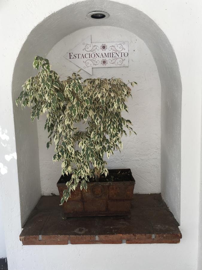 Hotel Calli Quetzalcoatl Cholula