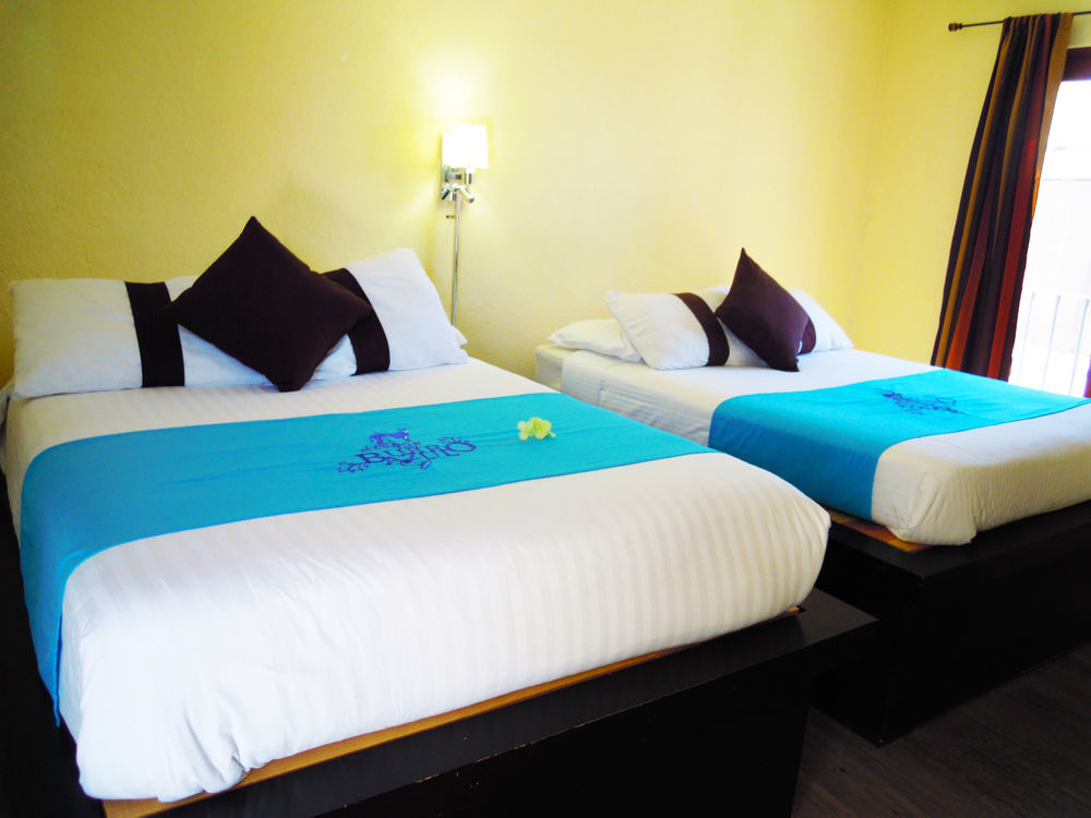 Bed & Breakfast & La Mansion Del B Azul 4*