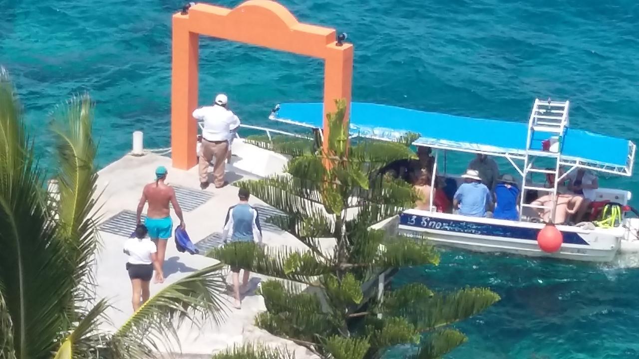Barracuda