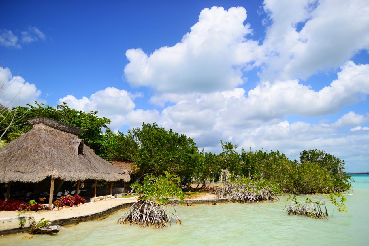 Wayak - Bed & Breakfast