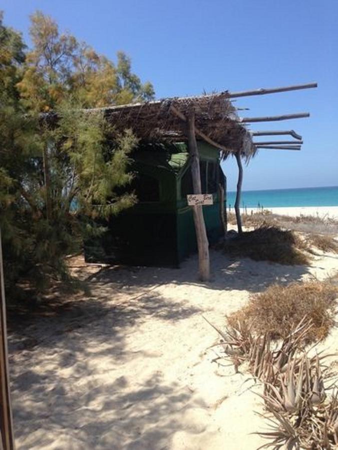 Eco Palapa A Gated On Punta Los Mangles