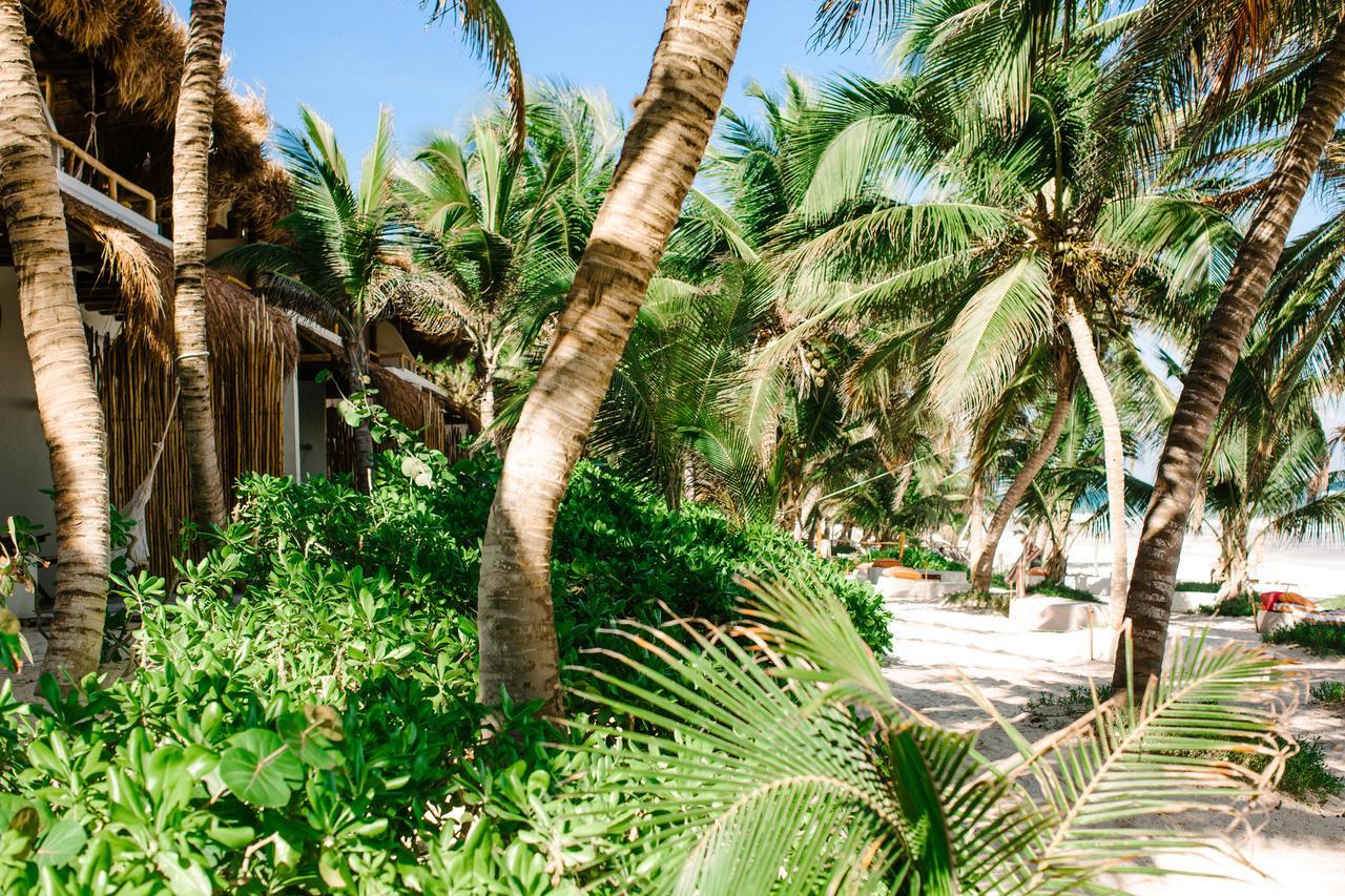 The 5* Tulum