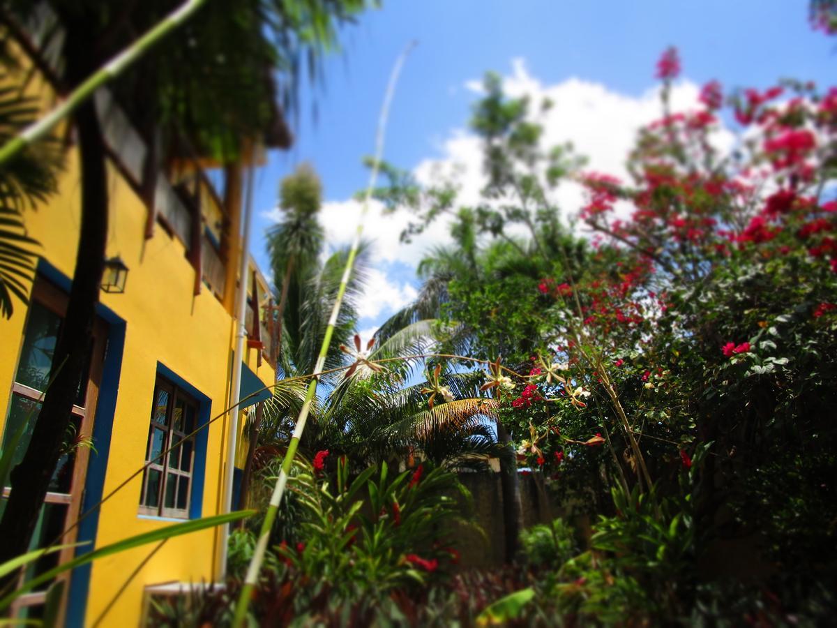 Hotel Casa Abanico 2*