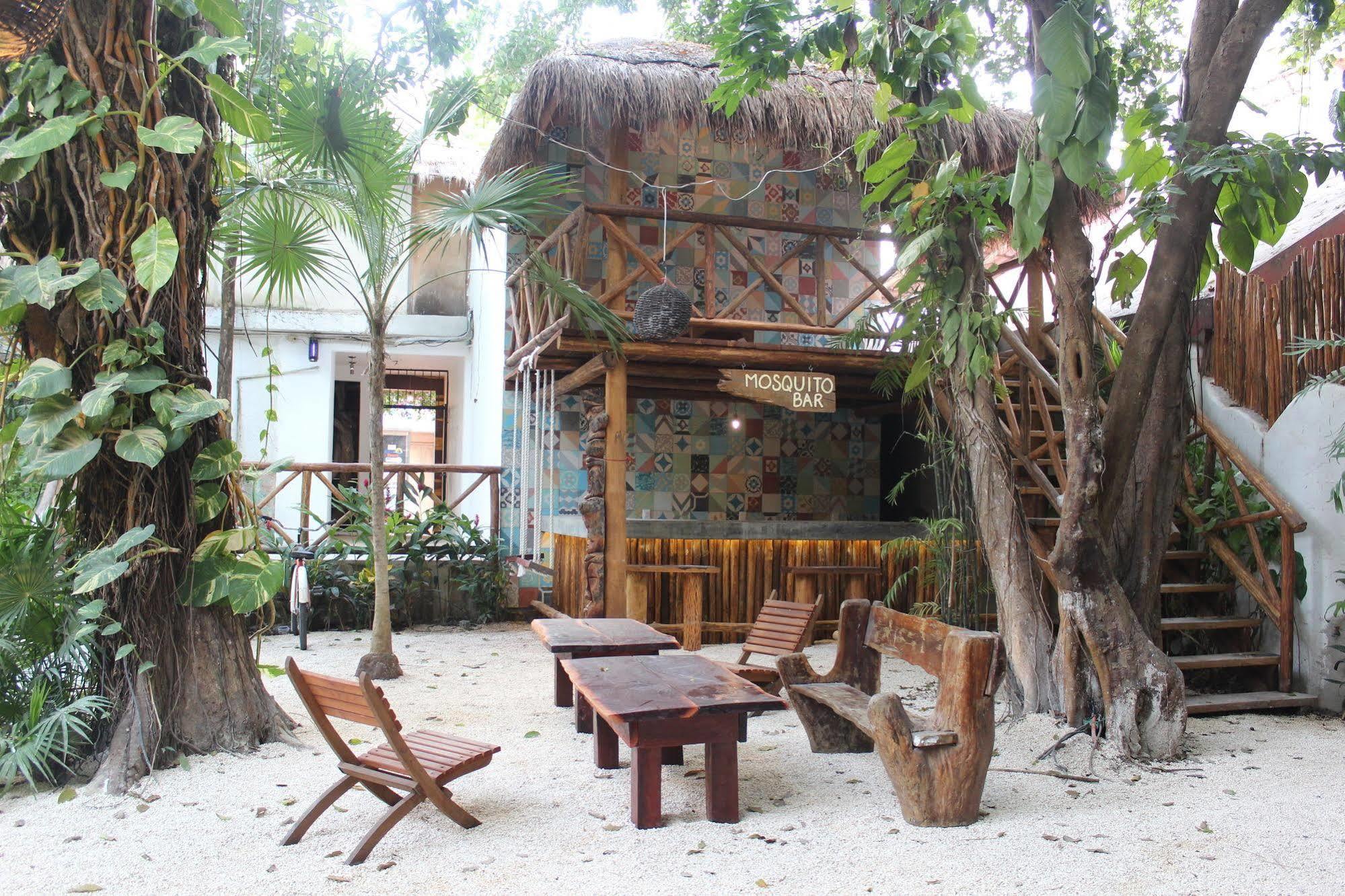 Hostal Mx 5Th Avenue Hostel Playa del Carmen