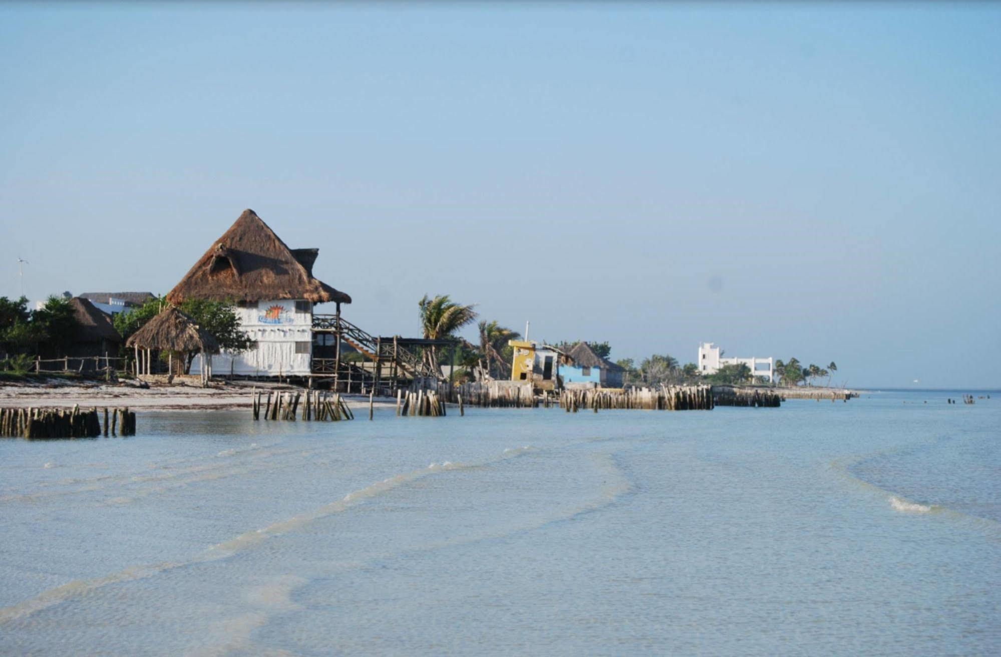Golden Paradise