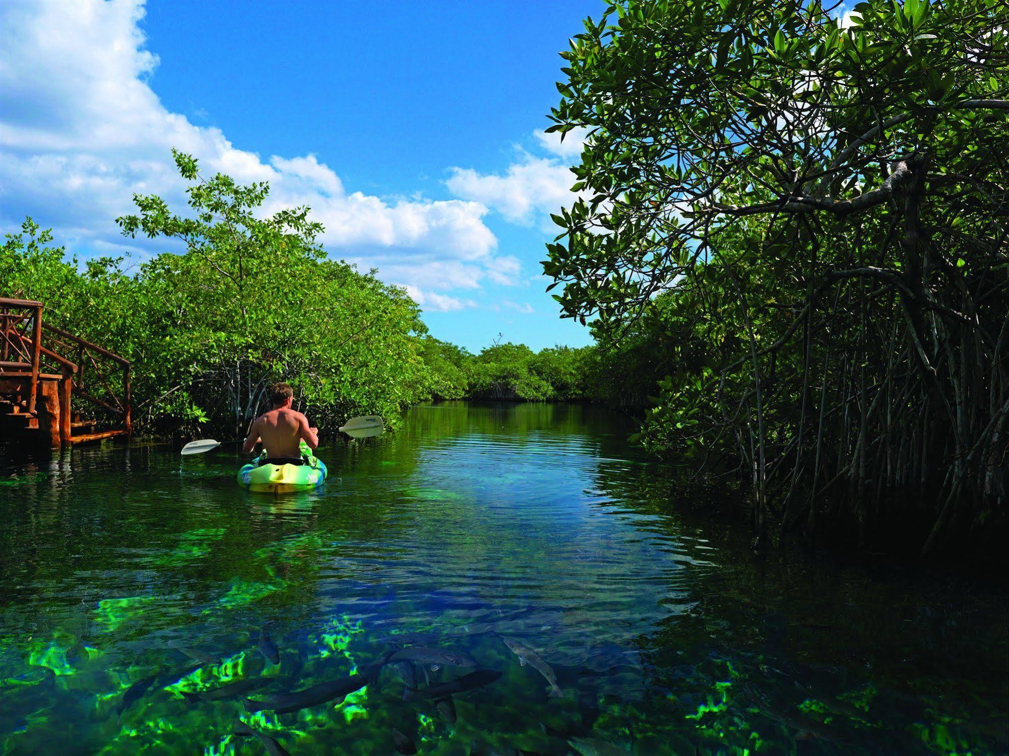 Resort Bel Air Collection & Riviera Maya 4*