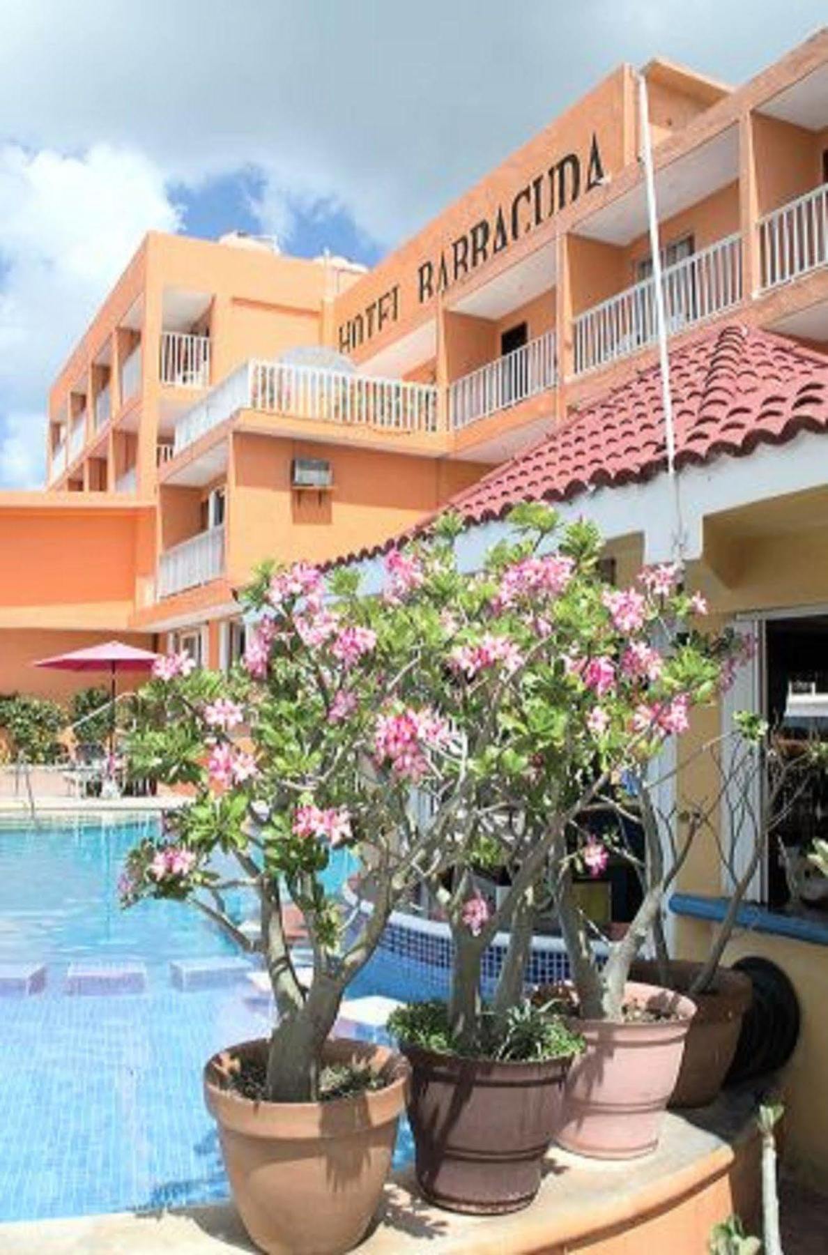 Barracuda Hotel 3*