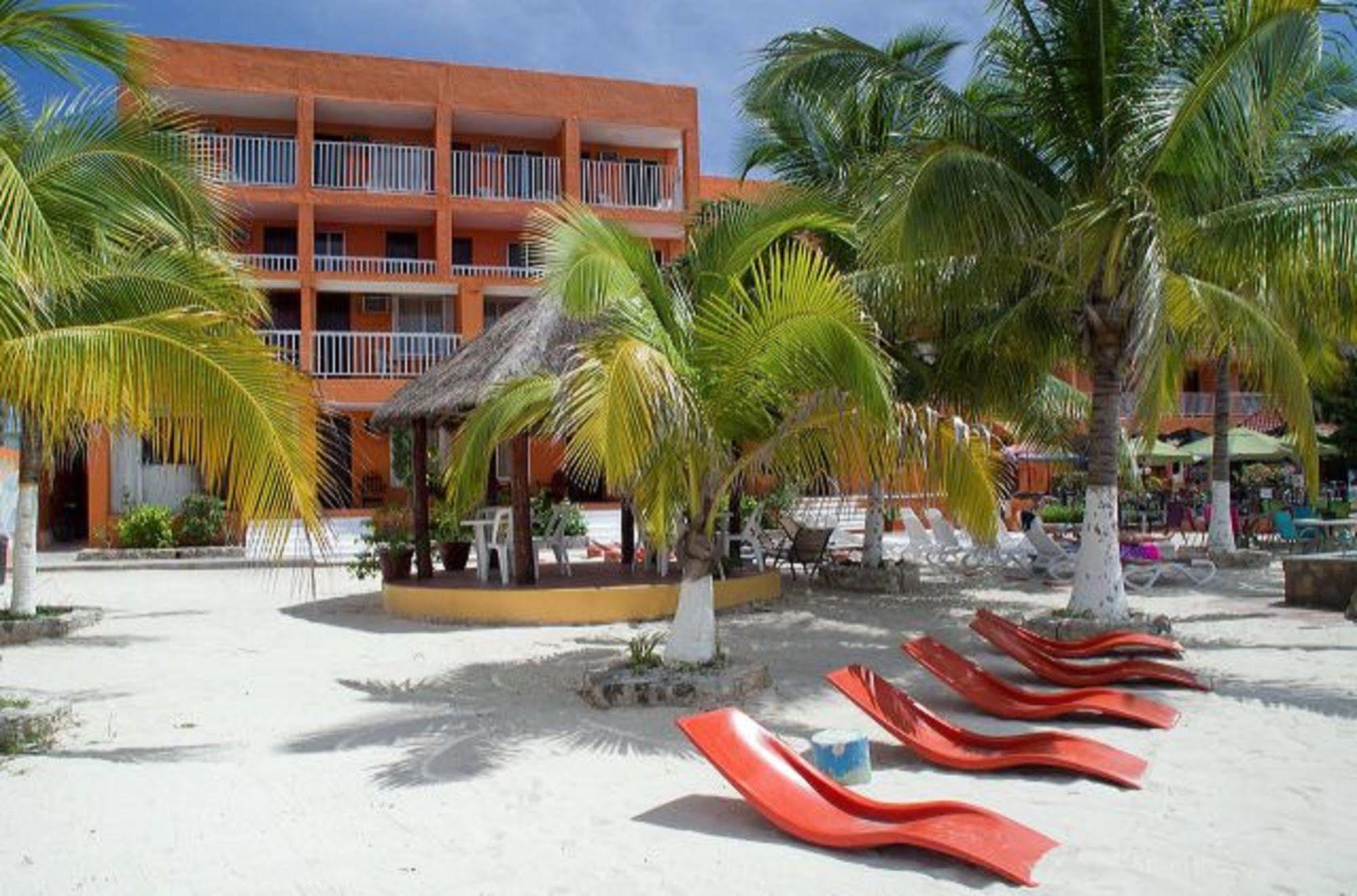 Barracuda Cozumel