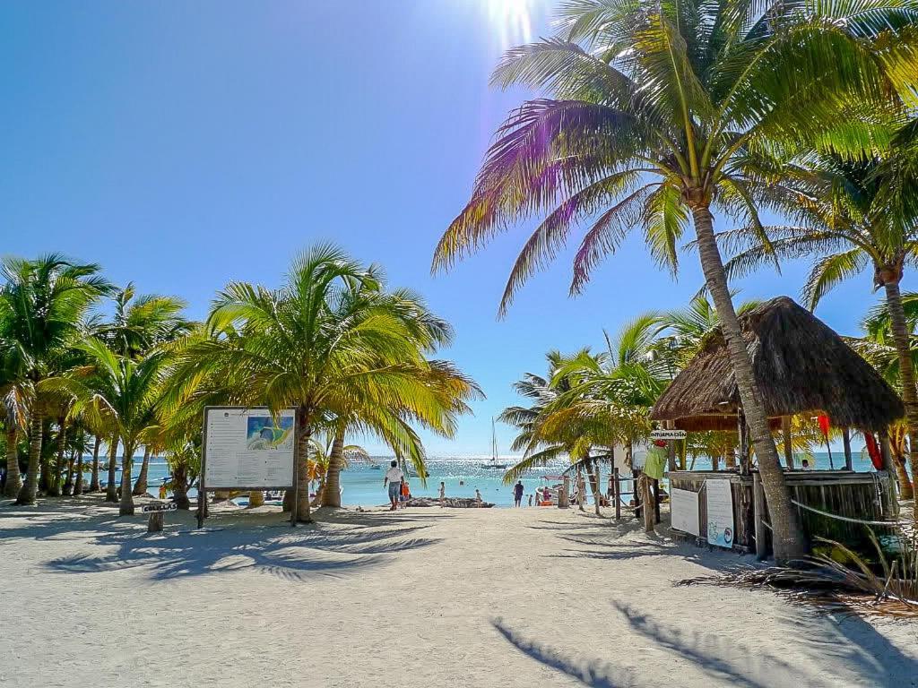 Amazing 2 Bedrooms With Pool Facilities, Balcony And High Speed Internet Akumal