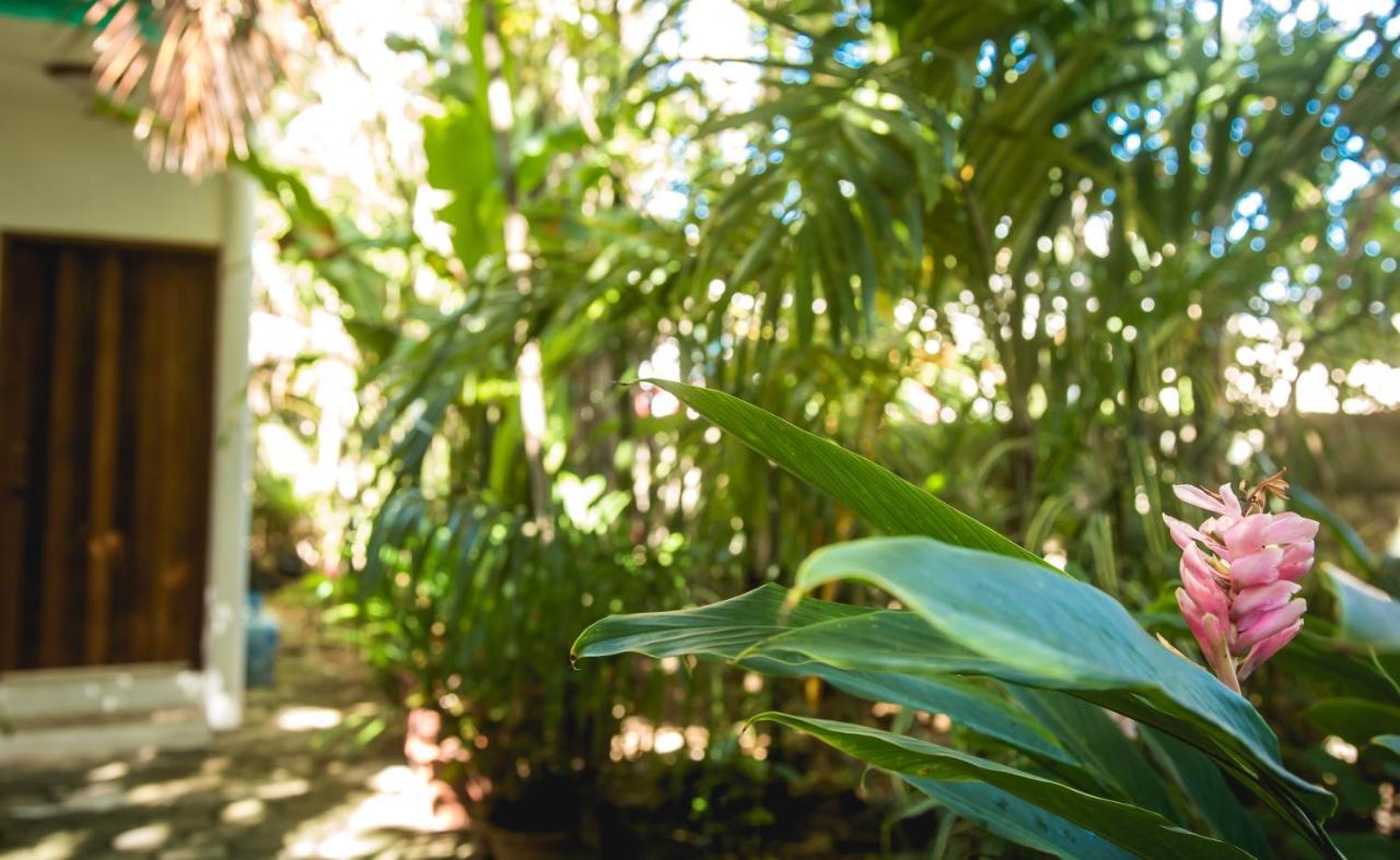 The Jungle Beach Playa del Carmen