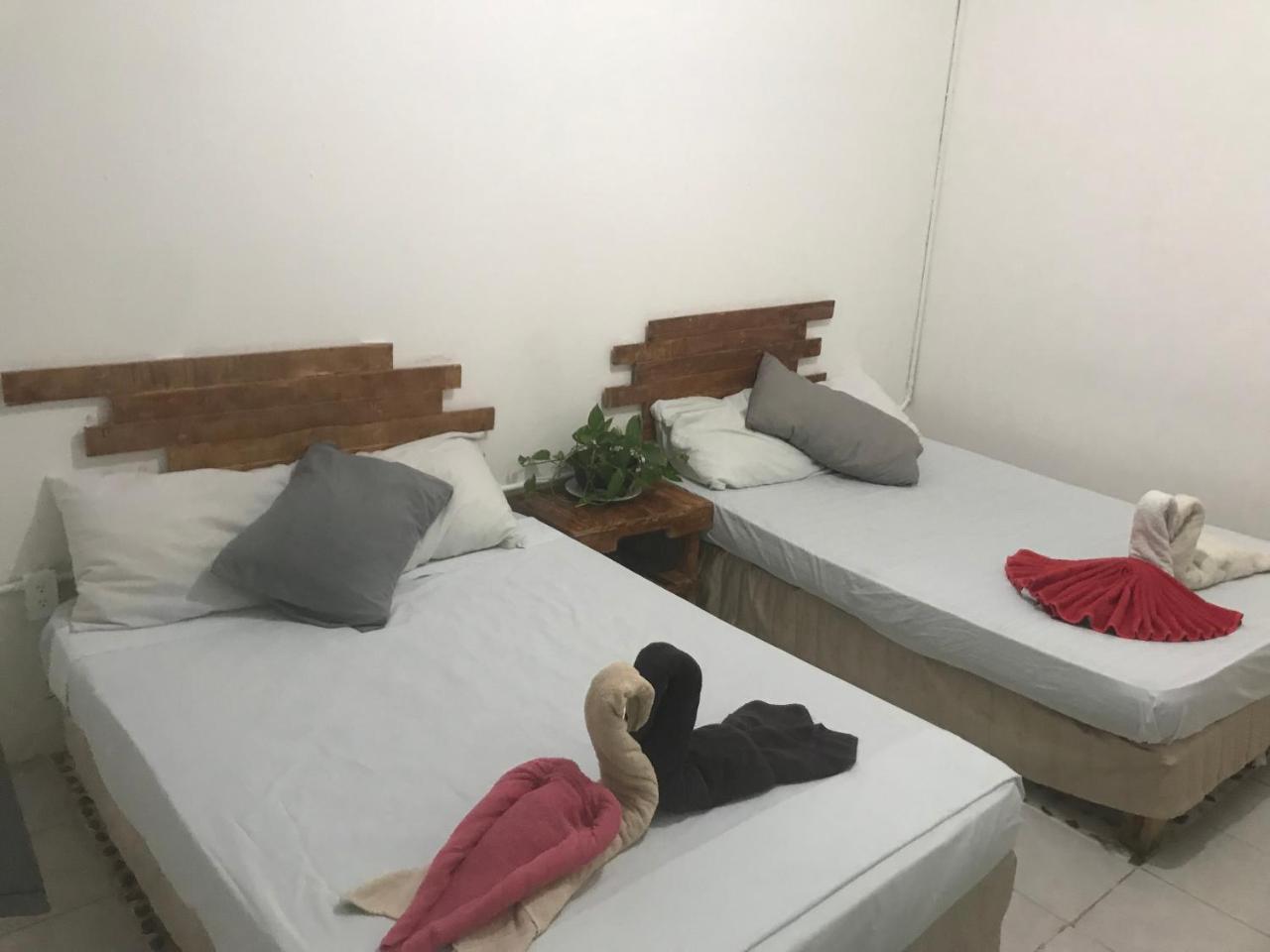 Guacamundo 5th. Ave Hostel *