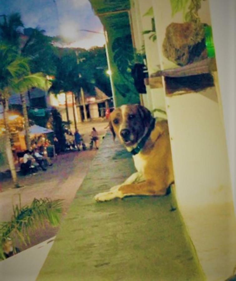 Guacamundo 5th. Ave Playa del Carmen