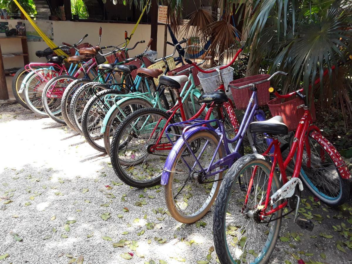 Tubo Hostel Tulum