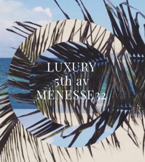 Luxury 5th Avenue Menesse 32 Apartment