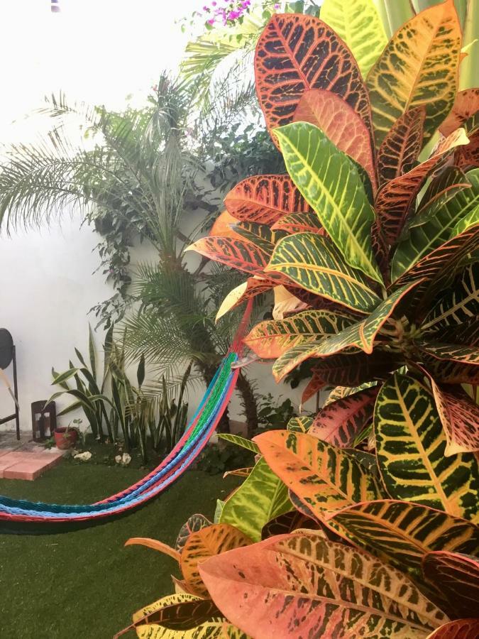 La Casa Del Mexicano Holiday home