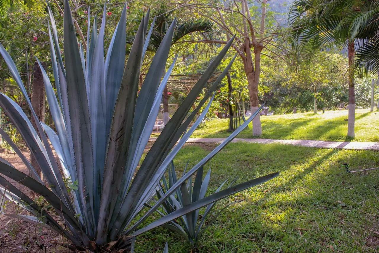 Casa La Potranca Homestay Puerto Vallarta