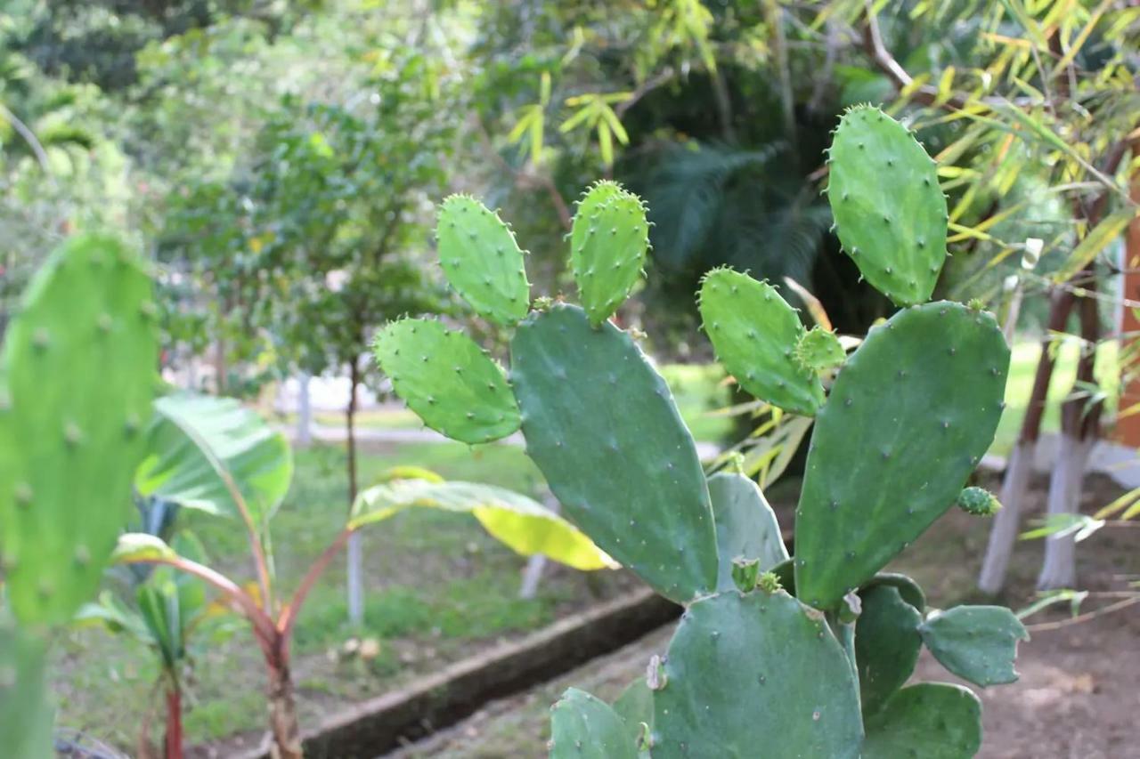Casa La Potranca Homestay