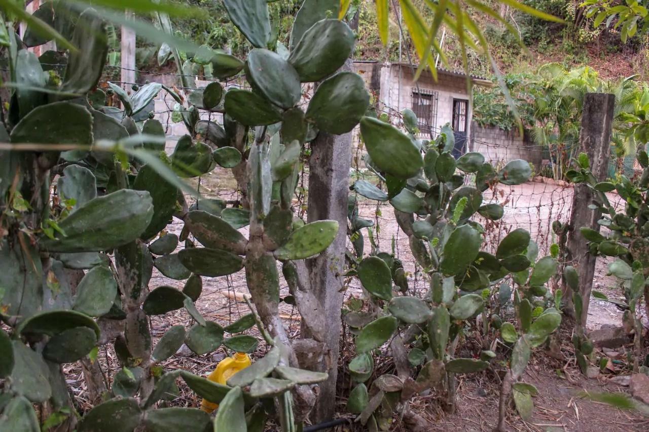 Casa La Potranca Homestay *