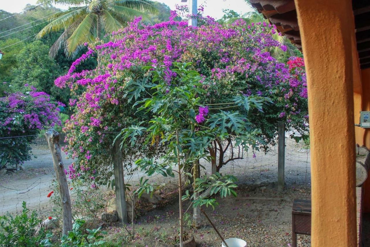 Casa La Potranca Homestay Puerto Vallarta