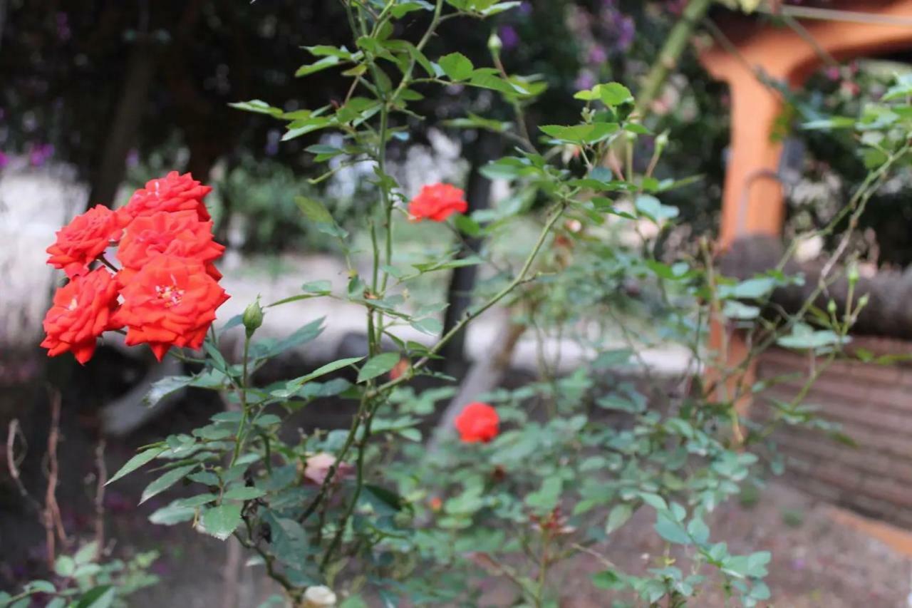 Casa La Potranca Homestay