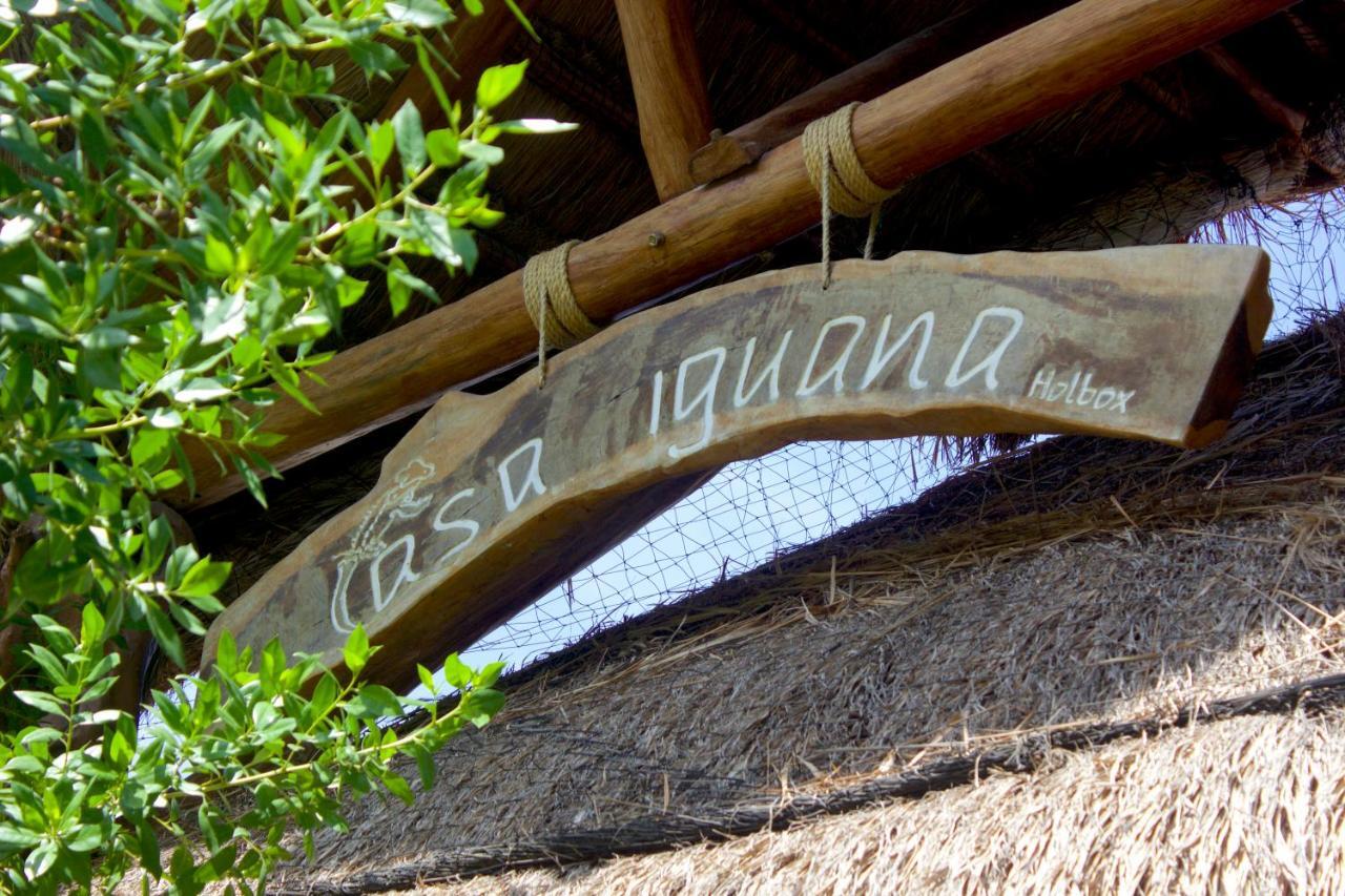 Casa Iguana - Beachfront