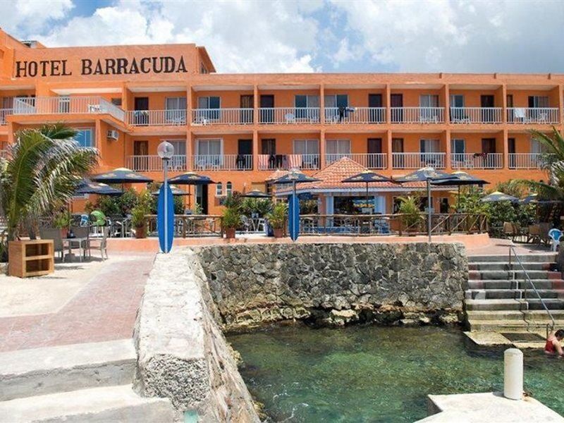 Barracuda