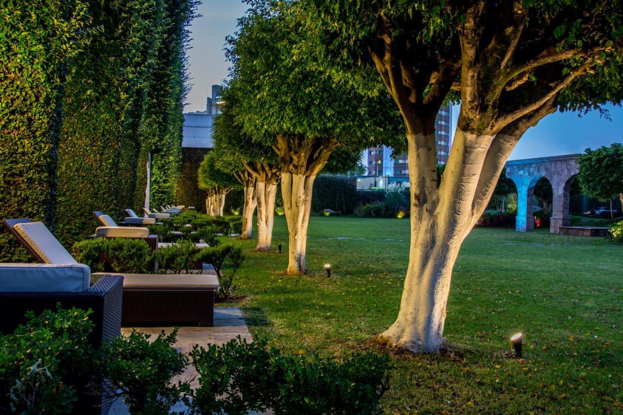 Business Class Hotel Zapopan
