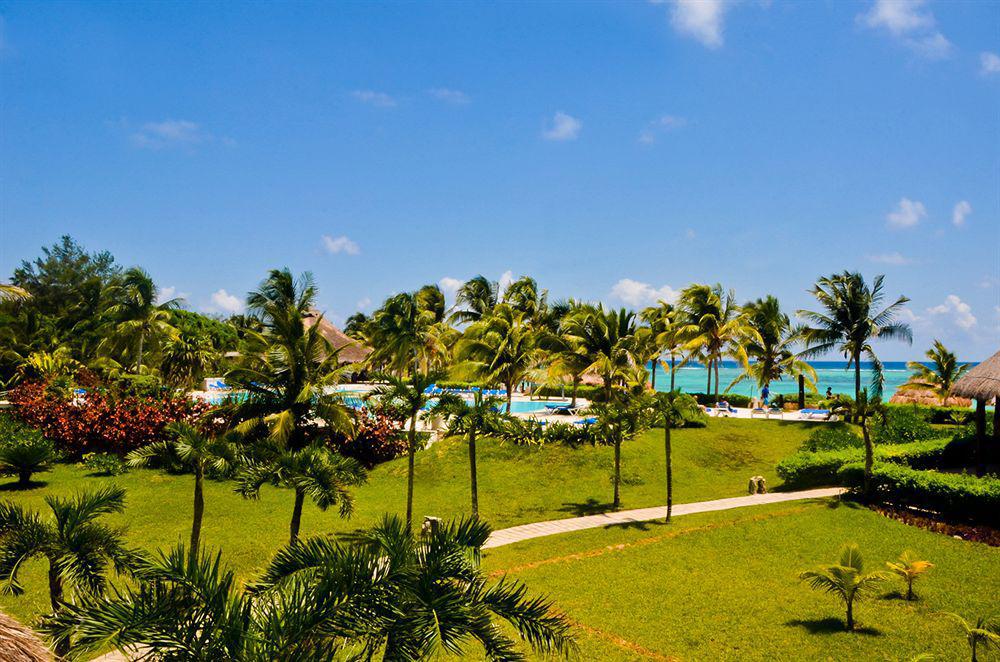 Bay & Wellness Akumal
