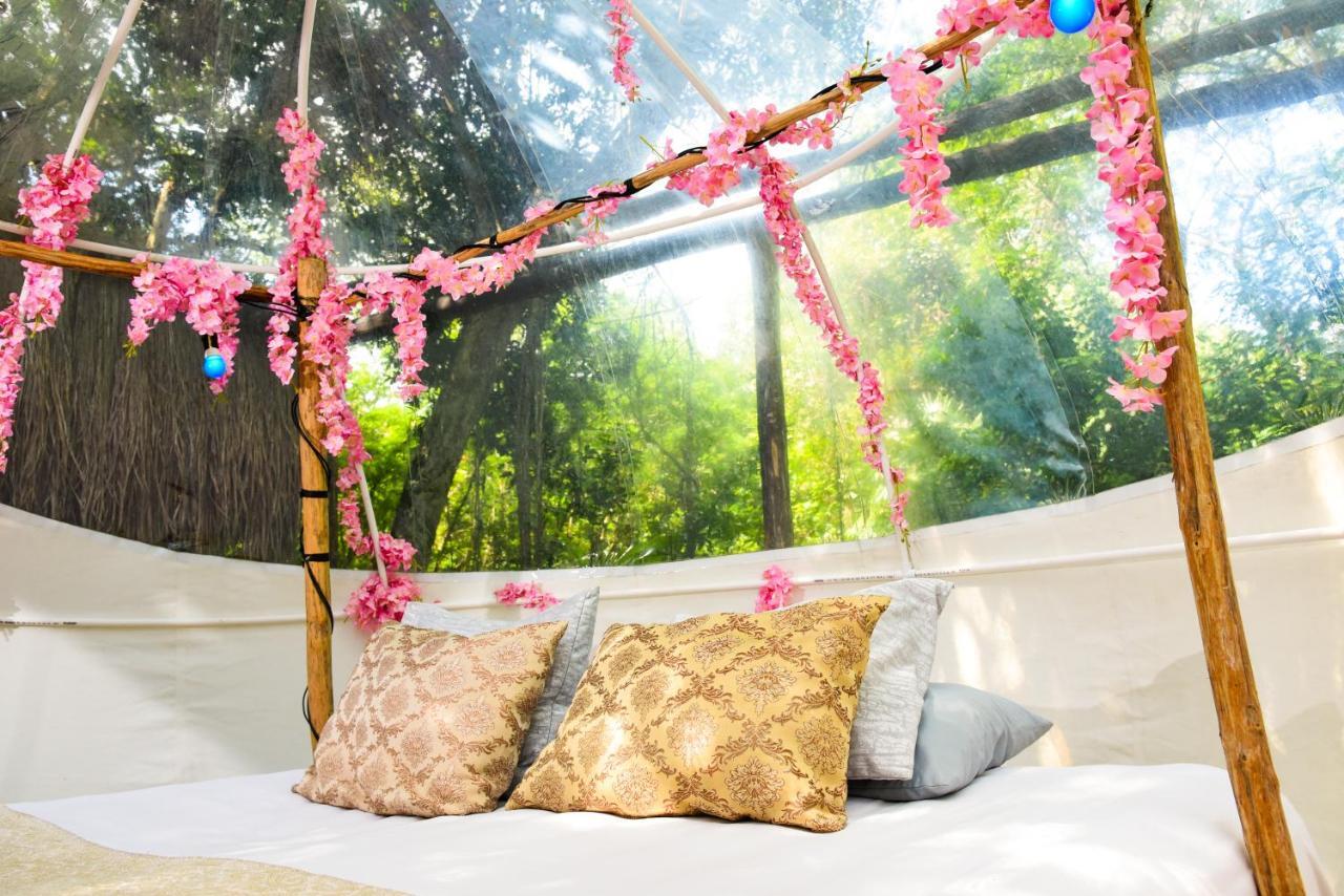 Itaka Glamping & Loft Hotel Playa del Carmen