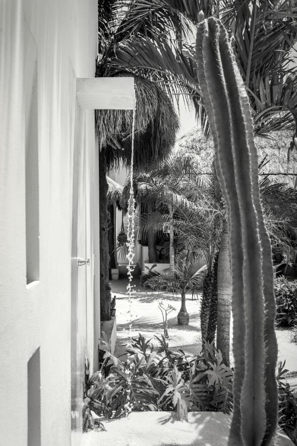 Tierra Del Mar - Adults Only Hotel Isla Holbox