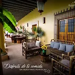 Alamos Bonito Centro Historico