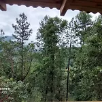 Cabana En El Bosque De San Jose Del Pacifico