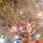 Hotel Casa Del Arbol