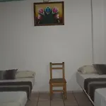 Tropical Suite