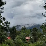 Cabana En El Bosque De San Jose Del Pacifico