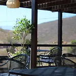 Vinas Del Castillo