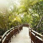 Grand Mayan At Riviera Maya
