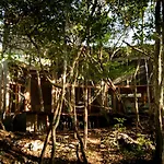 Ojo De Arbol, Boutique Cabin In The Real Jungle