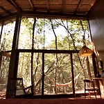 Ojo De Arbol, Boutique Cabin In The Real Jungle