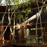 Ojo De Arbol, Boutique Cabin In The Real Jungle