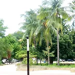 Camino Al Mar
