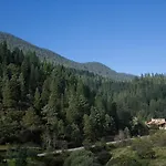Bosques De Monterreal