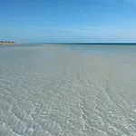 Search For \