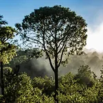 Bosque Escondido