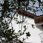 Casa Naamja