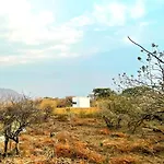 Piedra De Cobre