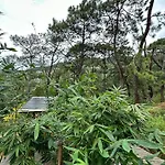 Sukha Lodge